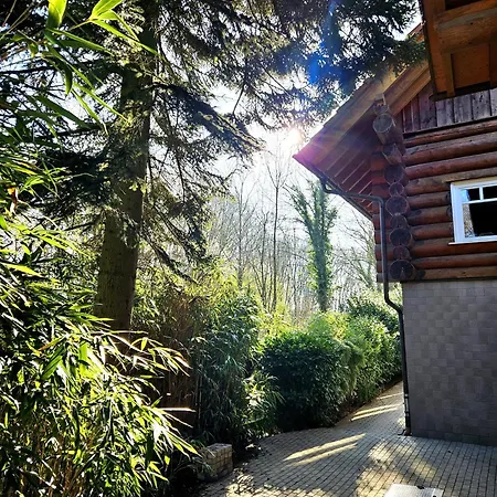 Wieapart - Ruhig Im Gruenen, Parkplatz, Zw. Dus/Cgn Leverkusen Exterior foto
